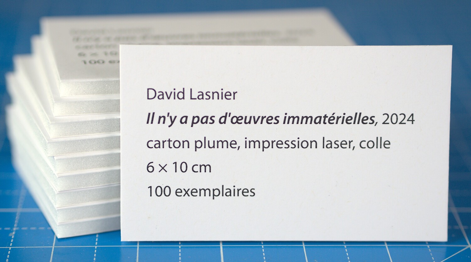 David Lasnier, Il n'y a pas d'œuvres immatérielles, 2024.